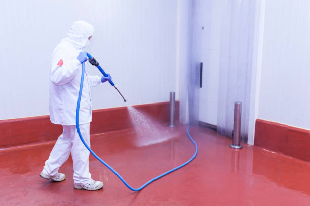 Paint Preparation in Port Ludlow, WA