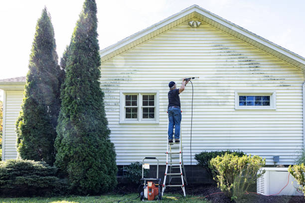 Best Solar Panel Cleaning  in Port Ludlow, WA